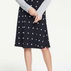 Ann Taylor Polka Dot Flare Skirt